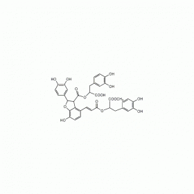 9’-丹酚酸B單甲酯 （9-Methyl?salvianolate B） | CAS No：1167424-31-8 HPLC≥98% 20mg/支 中藥對照品 標準