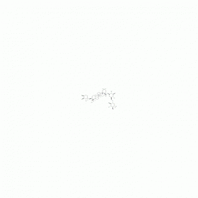 木通皂苷D；川續斷皂苷VI ｜ CAS No：39524-08-8 HPLC≥98% 20mg/支 中藥對照品 標準品
