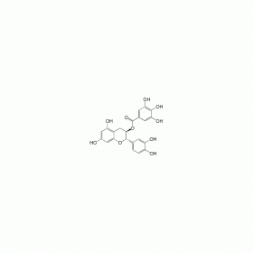【樂美天】兒茶素沒食子酸酯 ｜ CAS No：130405-40-2   HPLC≥98%   20mg/支分析標(biāo)準(zhǔn)品對照品