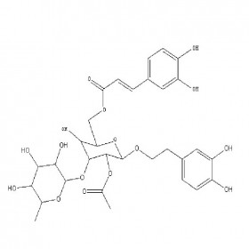 管花苷B 112516-04-8 HPLC≥97% 20mg/支 分析標準品/對照品