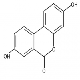 【樂美天】尿石素A  1143-70-0  HPLC≥98%  20mg/支 分析標準品/對照品
