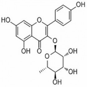【樂美天】阿福豆苷 （山奈酚-3-O-吡喃鼠李糖苷）482-39-3  HPLC≥98%  10mg/支標準品/對照品