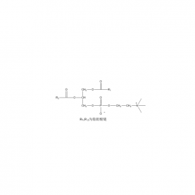 蛋黃磷脂酰膽堿（Egg?yolk phosphatidylcholines） | CAS No：93685-90-6	HPLC≥98% 	20mg/支