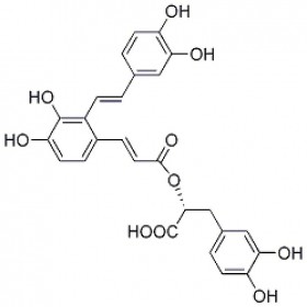 丹酚酸A 96574-01-5 HPLC≥98% 20mg/支分析標準品/對照品