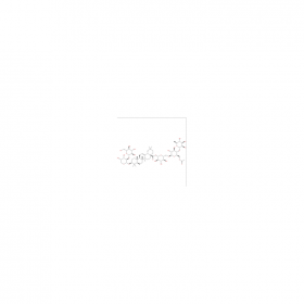 Acanthopanaxoside B	 | CAS No：915792-03-9	HPLC≥98% 	10mg/支  中藥對照品標準品