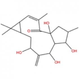 7-羥基千金子二萜醇 34208-98-5 HPLC≥98% 	20mg/支標準品/對照品
