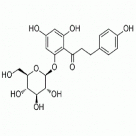 根皮苷60-81-1HPLC≥99% 20mg/支分析標準品/對照品