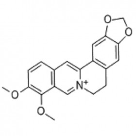 小檗堿2086-83-1HPLC≥98% 20mg/支分析標準品/對照品