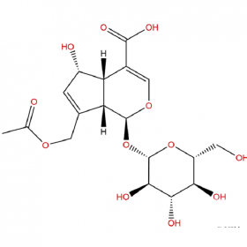 車葉草苷酸	25368-11-0 HPLC≥98%	10mg/支 分析標準品/對照品