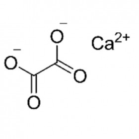 草酸鈣 563-72-4	HPLC≥99%	25g/支 分析標(biāo)準(zhǔn)品/對(duì)照品