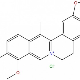 甲基小檗堿54260-72-9HPLC≥98%10mg/支分析標(biāo)準(zhǔn)品/對(duì)照品