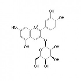 矢車菊素-3-O-半乳糖苷	142506-26-1 HPLC≥98%	5mg/支對照品