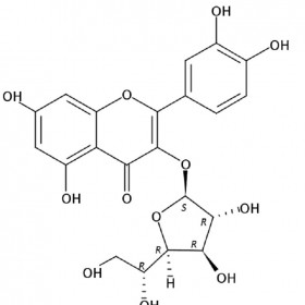 DH0242 槲皮素-3-O-葡萄糖苷 21637-25-2 HPLC≥98%20mg/支對照品