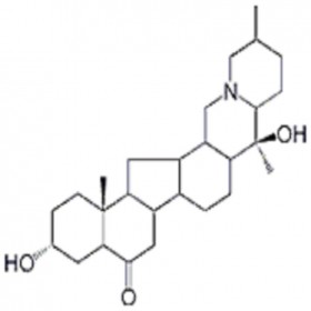 裕貝甲素HPLC≥98% 20mg/支分析標(biāo)準(zhǔn)品/對(duì)照品