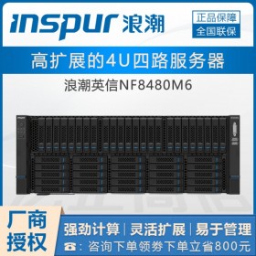 四川浪潮服務器總經銷商丨 成都NF8480M6服務器2顆6330/8*32G 480G+2.4T*5