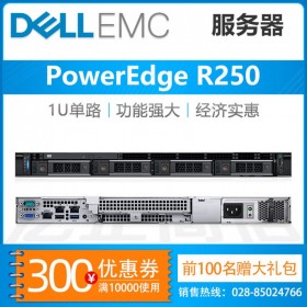 德陽戴爾服務(wù)器總代理丨DELL R250機(jī)架式服務(wù)器主機(jī) 公司財(cái)務(wù)服務(wù)器
