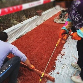 四川省都江堰市彩色生態(tài)透水混凝土地坪  山西太原市透水混凝土里面 透水混凝土施工價格 彩色透水混凝土材料生產(chǎn)廠家   壓模混凝土材料廠家 透水粘接劑廠家送貨到工地