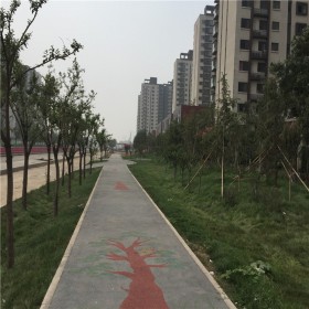 綿陽(yáng)市 生態(tài)透水混凝土 路藝廠家現(xiàn)貨 彩色透水混凝土路面施工 透水地坪材料 廠家直供 價(jià)格優(yōu)惠