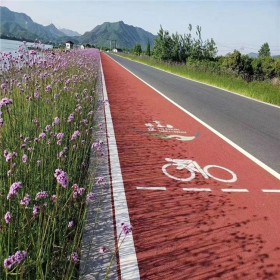 沙坪壩區  透水混凝土 彩色透水混泥土 透水混凝土膠凝劑 透水砼增強劑