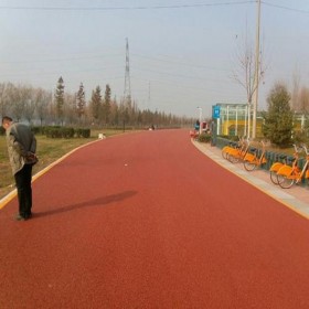 三門峽市 車行彩色透水混凝土路 生態透水地坪 彩色透水地面 專業材料生產廠家