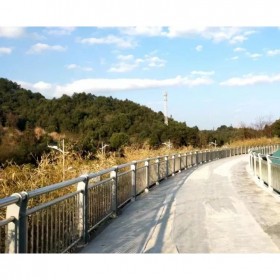 彩色混凝土 彩色混凝土道路 樂(lè)山彩色混凝土